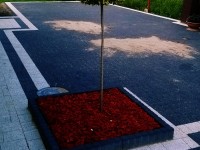 Wjazdy, chodniki i aleje