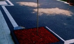 Wjazdy, chodniki i aleje